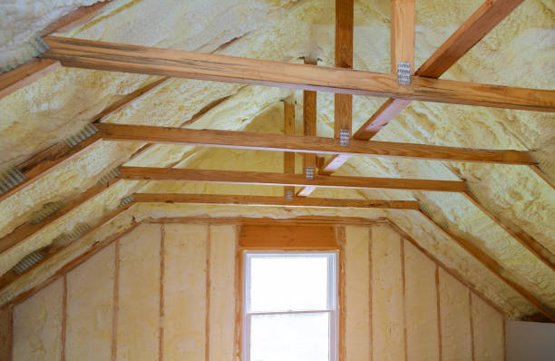 Best Specialized Insulation Services in Anchorage, AK